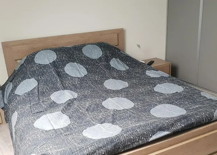 A 10 Mm Du Centre-ville Du Mans